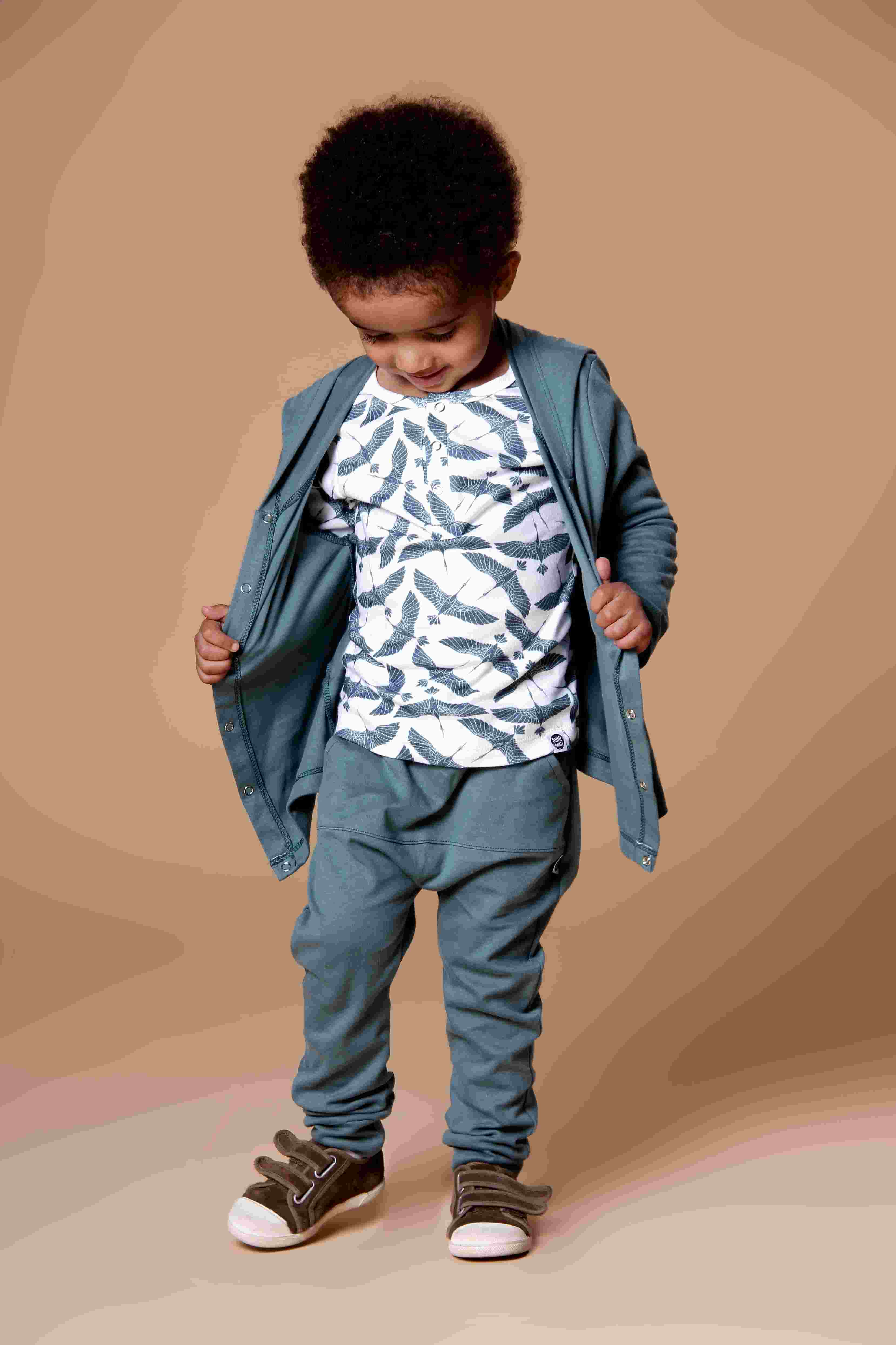 Camiseta-infantil-menino-casaco-calca-azul-bebe-passaros-aves-minimalista-escandinavo-unissex.jpg